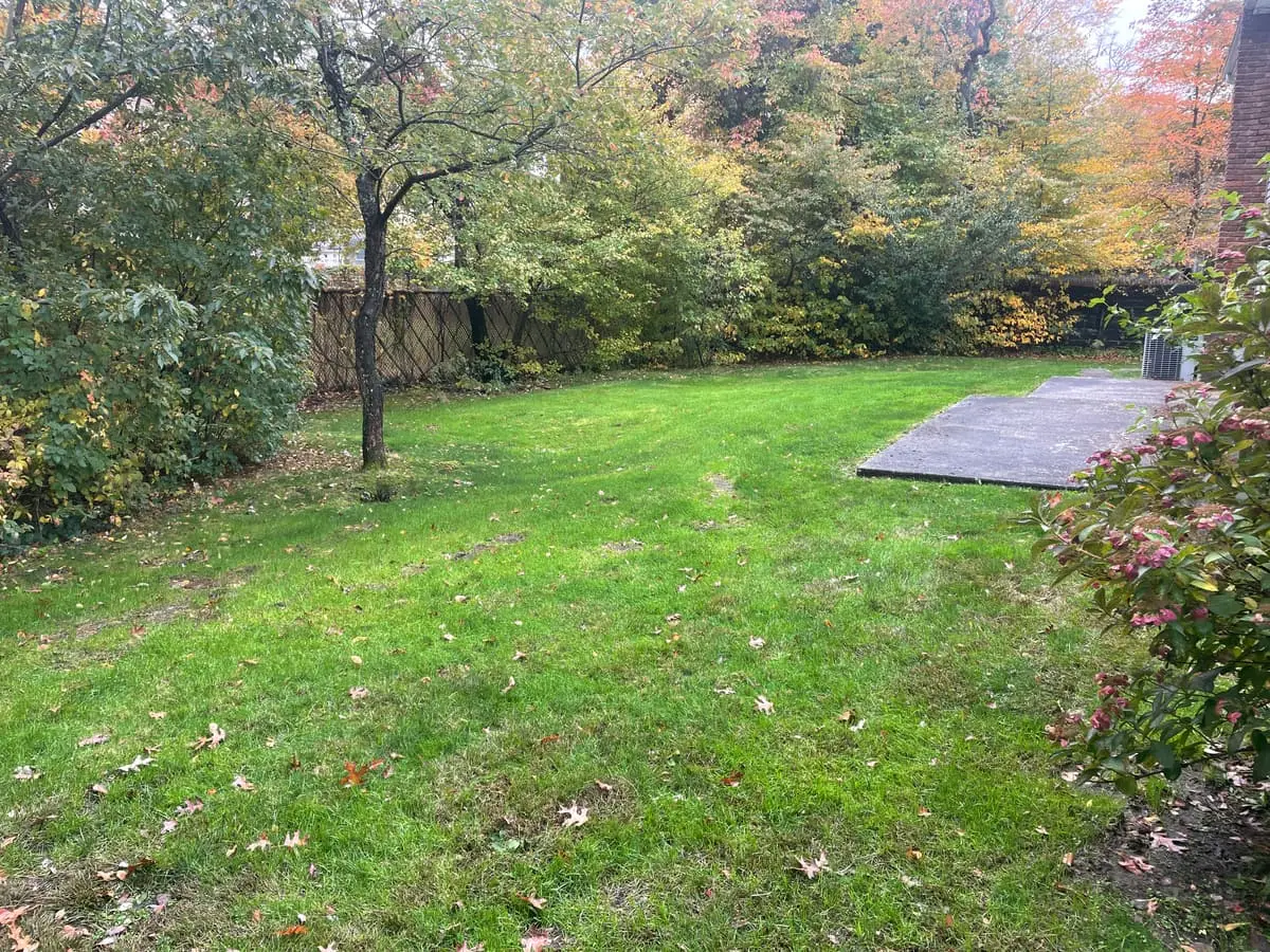 Selling a multi-family house in Babylon: deep backyard with a concrete patio and autumn trees